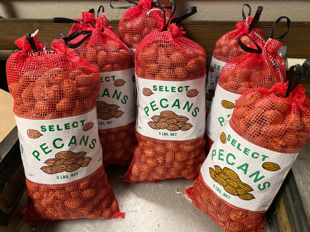 IN-SHELL PECANS